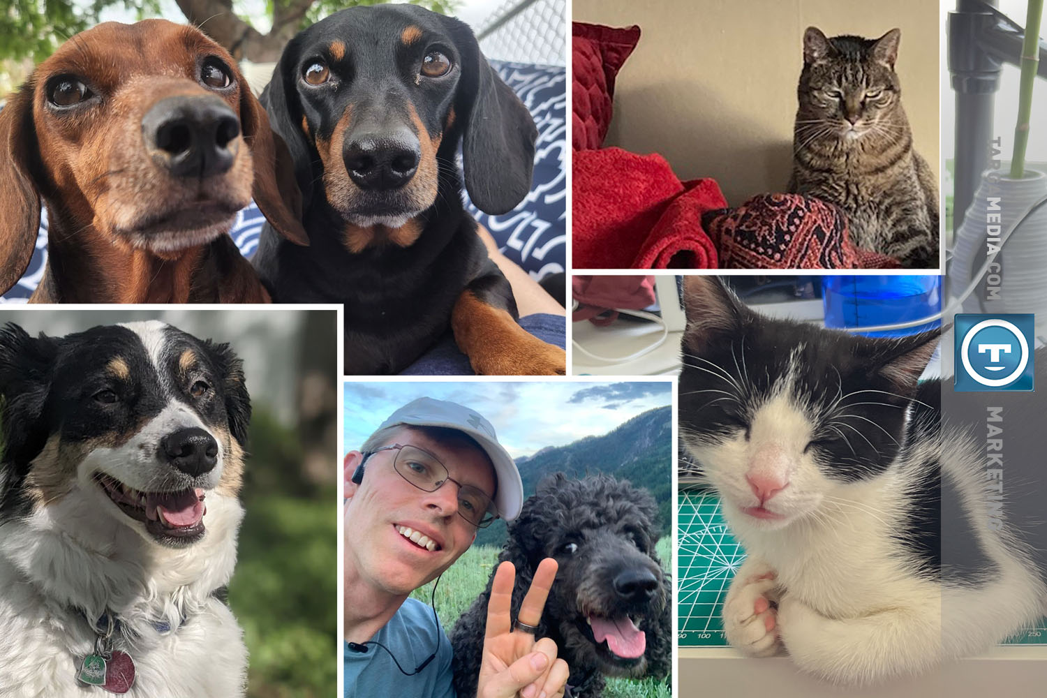 A modge podge of all the Targa Team pets